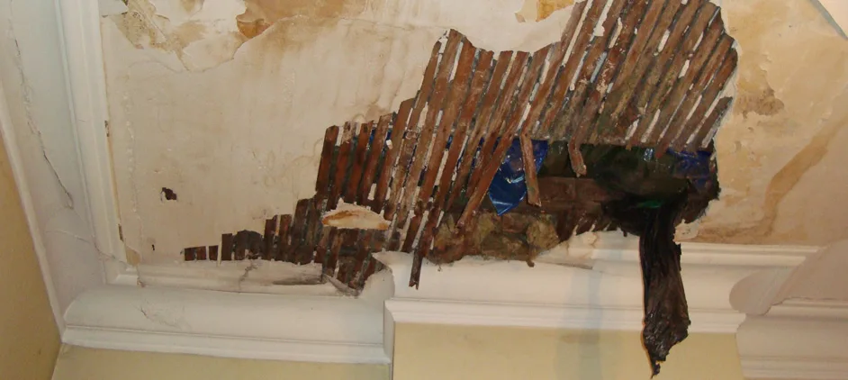 Domaines de competence recherche cause moisissures